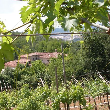 Agriturismo Ca' Verde Sant'Ambrogio di Valpolicella Eksteriør billede