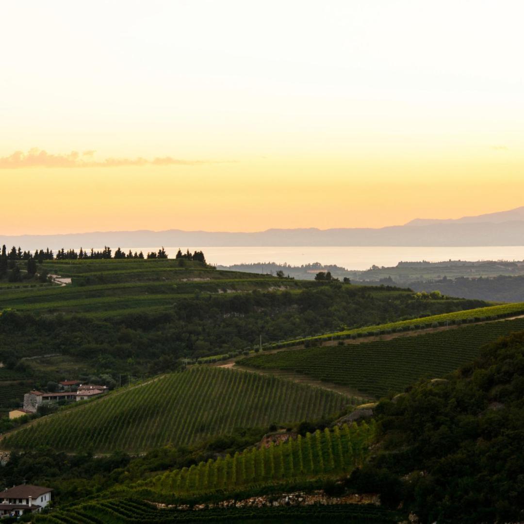 Agriturismo Ca' Verde Sant'Ambrogio di Valpolicella Eksteriør billede