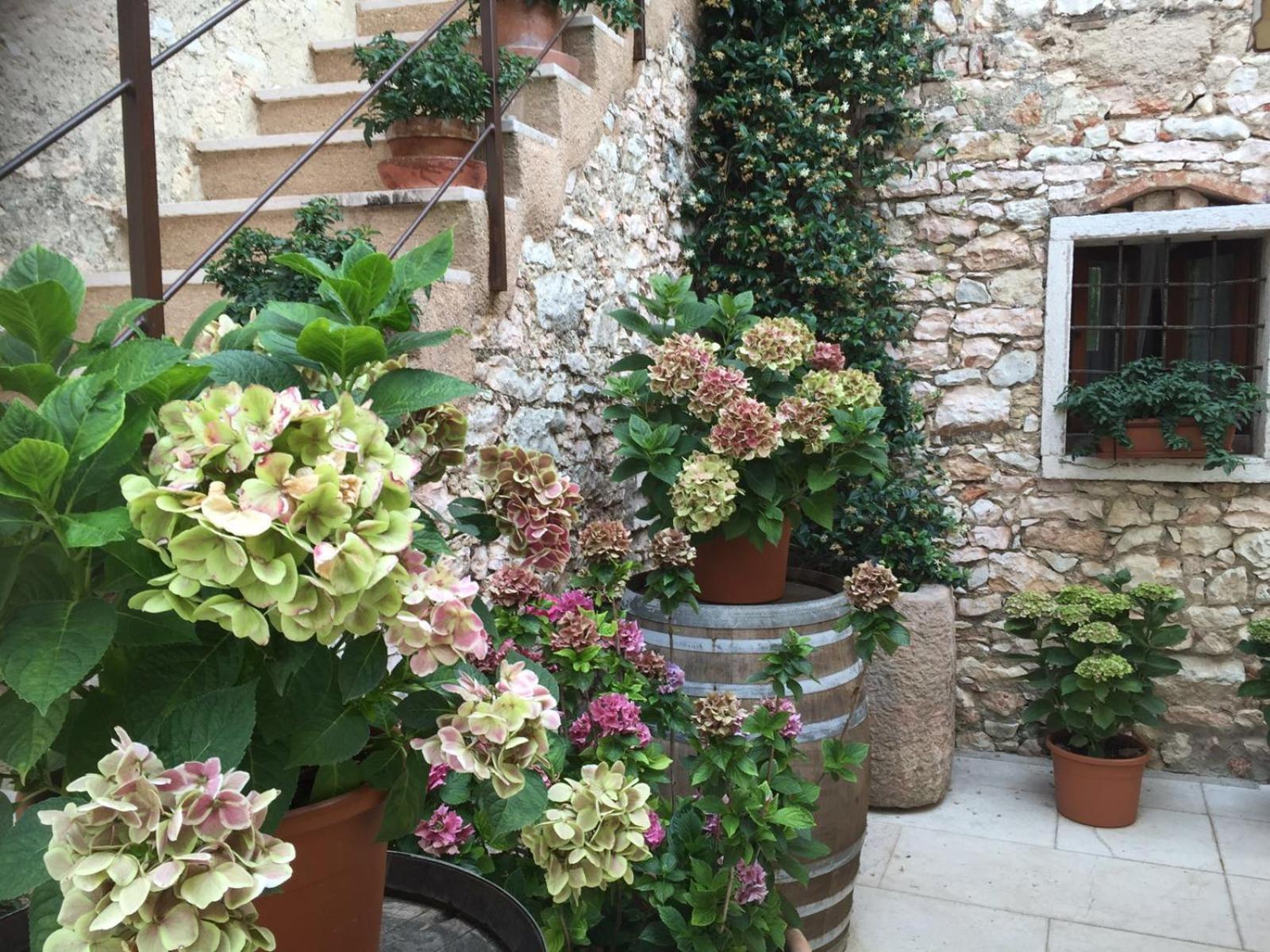Agriturismo Ca' Verde Sant'Ambrogio di Valpolicella Eksteriør billede