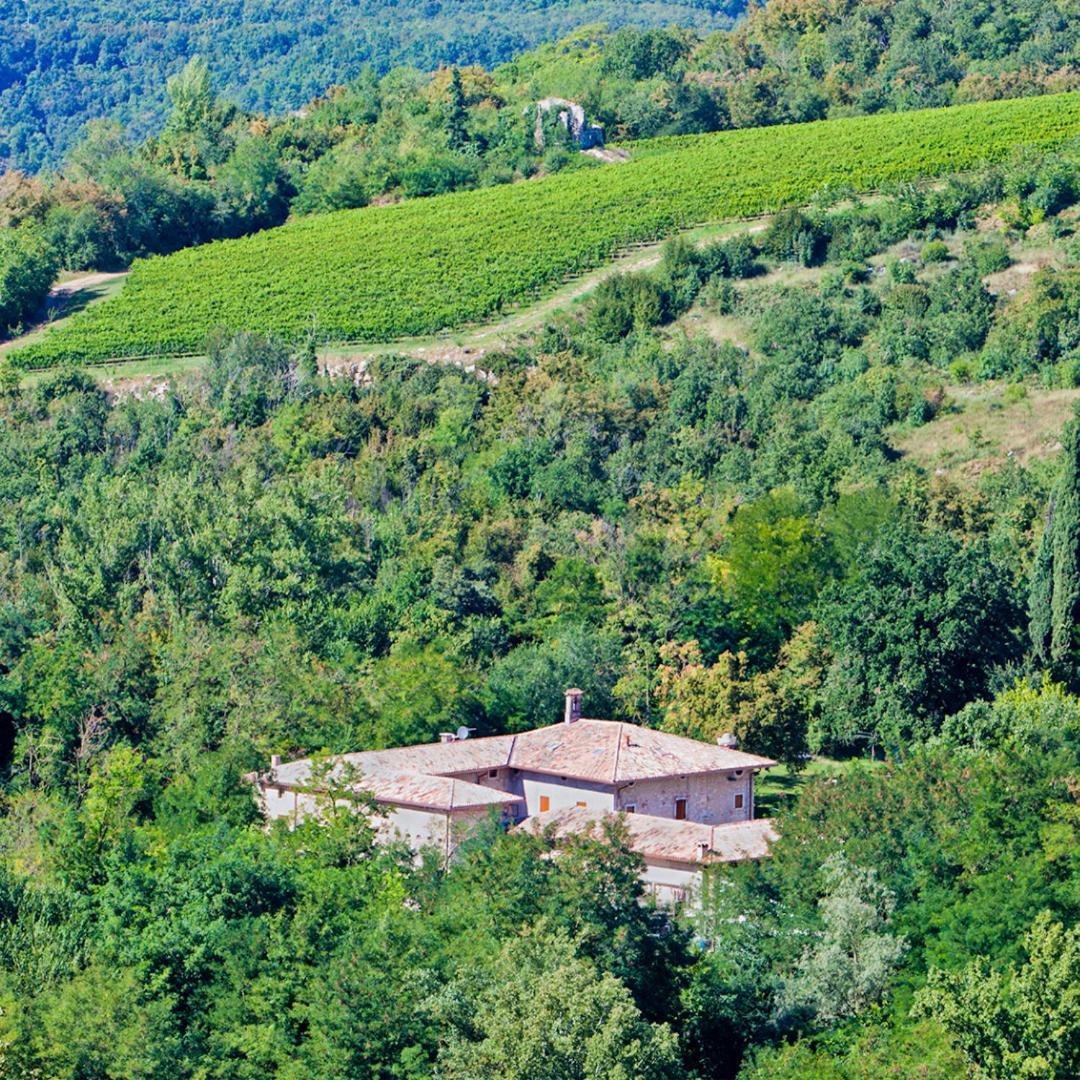 Agriturismo Ca' Verde Sant'Ambrogio di Valpolicella Eksteriør billede